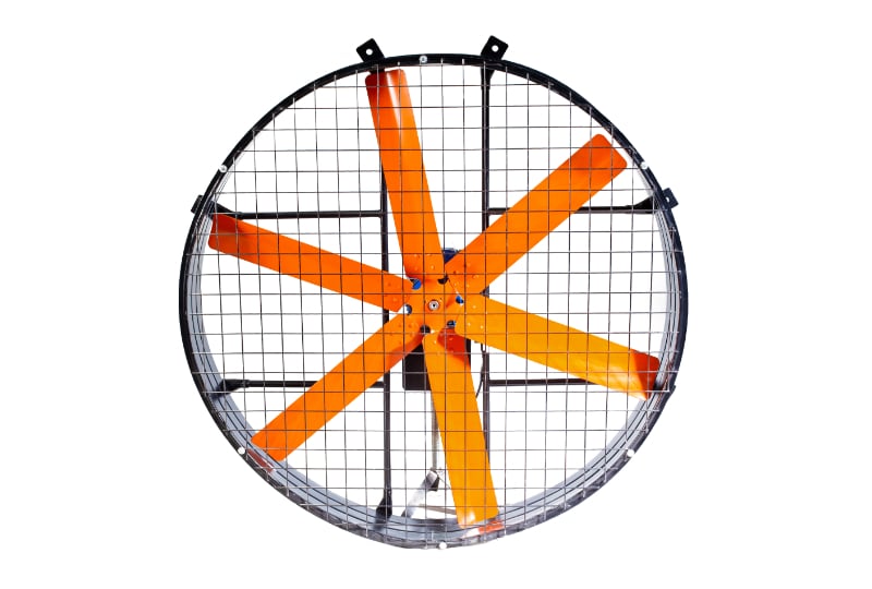 Extractores industriales avícolas