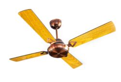 Ventiladores – Adrogue Ventilación